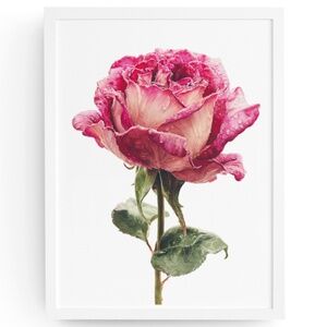 Watercolor Single Pink Rose Wall Art Print, Unframed - Delicate Floral Elegance